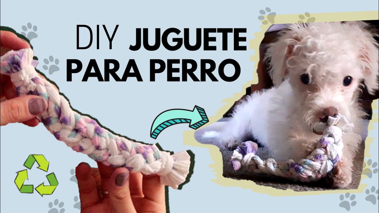 10 Juguetes caseros para perros (con vídeos) - ¡Con materiales reciclados!