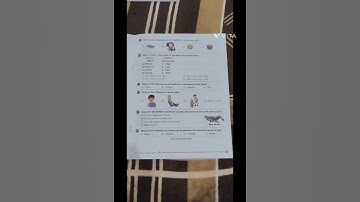 SOF NSO National Science Olympiad class 1 {question paper set C} #NSO #2024exampaper #SOF