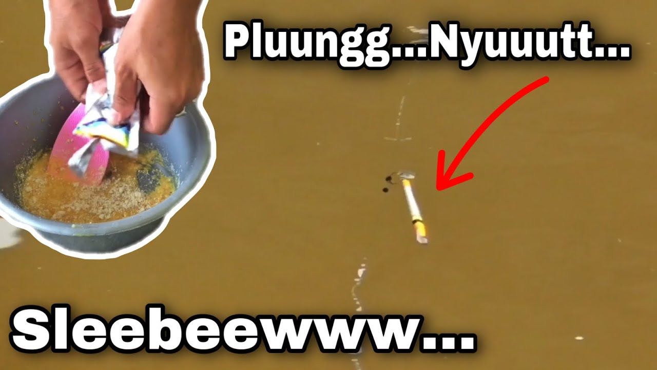 Umpan SLEBEW Gacor Disukai Ikan SD Sampai Ikan S3