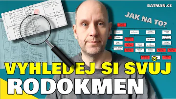 Proč britská kočka má ráda své jídlo?