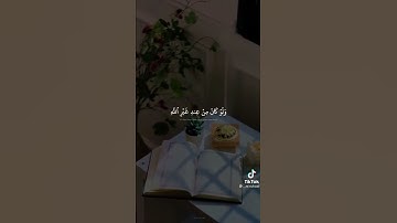 (أفلا يتديرون القرءان) | سورة النساء | حالات واتس اب دينية | محمد صديق المنشاوي 🌹