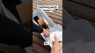 Catching perch faster part 1| Schneller Barsche fangen | Jaeger Fishing Perch Go Kit #perch #shorts
