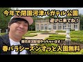 【2026春バラ】 4/25 河津バガテル公園 最後の年 入園無料 開花状況 ローズガーデン ばら園