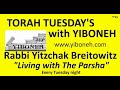 Rabbi Yitzchak Breitowitz: Purim Insights