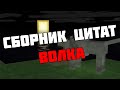 Сборник цитат ВОЛКА #1 | Цитаты с видео