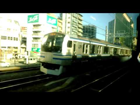 横須賀線E217系と並走する東海道線E231系