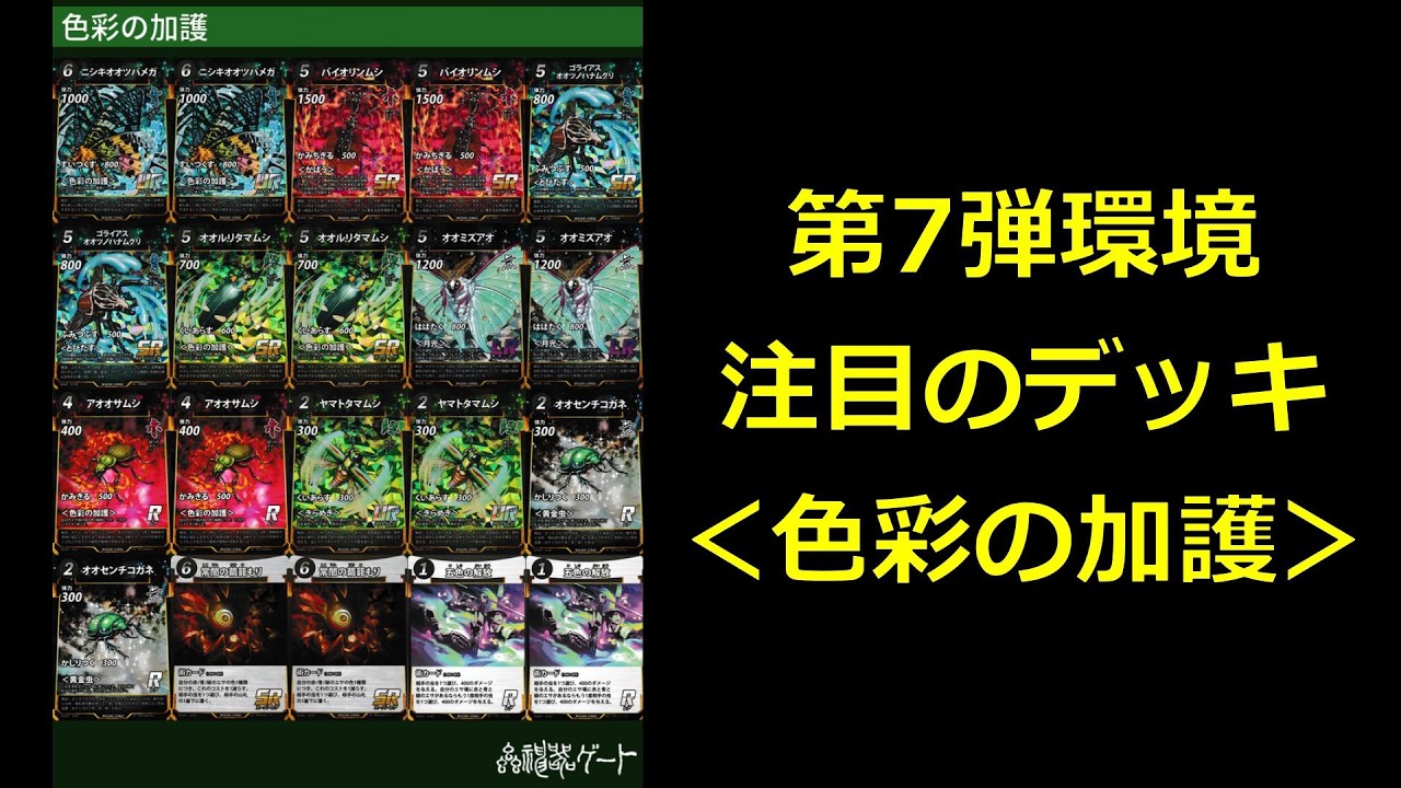 【#蟲神器】第7弾注目テーマ！＜色彩の加護＞【#わかむしちゃんねる 308】