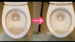 プロが100均商品で便器内の黒ずんだ水垢を落としてみた！