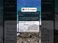 確かに怒るなww #平均 #あるある #笑える #ネタ #shorts