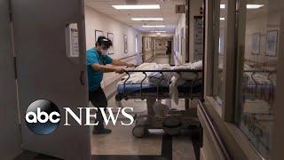 New case of omicron COVID variant detected in Minnesota | ABCNL
