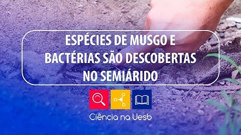 EP.  7 |  ESPÉCIES DE MUSGO E BACTÉRIAS SÃO DESCOBERTAS NO SEMIÁRIDO