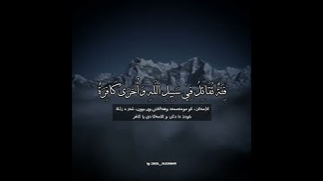 سورة آل عمران | القارئ محمد النقيب