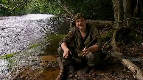 Ray Mears