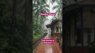 #kerala#GodsOwnCountry#KeralaMonsoon#TrainDiaries#GreenParadise#railwaycontent#rain&amp;rail#subscribe