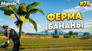картинка: ФЕРМЕР 7 РАНГА, БАНАНЫ НА MAJESTIC RP / GTA 5 RP.  ПРОМО - TAXI