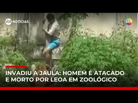 Video homem-morre-ao-invadir-jaula-de-leoa-em-zoologico-de-joao-pessoa-pb-sbt-noticias