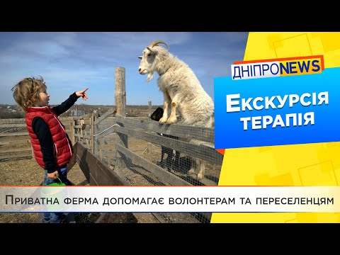 На Дніпропетровщині ферма-сироварня проводить благодійні екскурсії