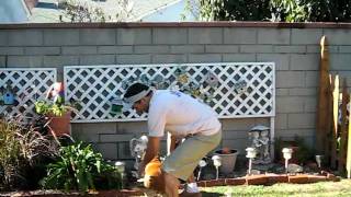 Picture 133.avi