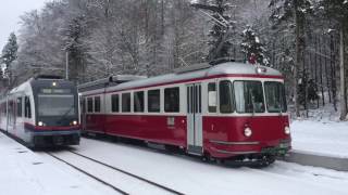 Winterimpressionen 2017