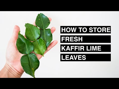 How to store fresh kaffir lime leaves │Pana Napa Kitchen