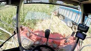 Cab View | Claas Jaguar 870 + Kemper 460 Plus | Mais Silage