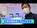 RED SEA REEFER 水槽設置動画　☆Official☆　AquaRevue Neo CH