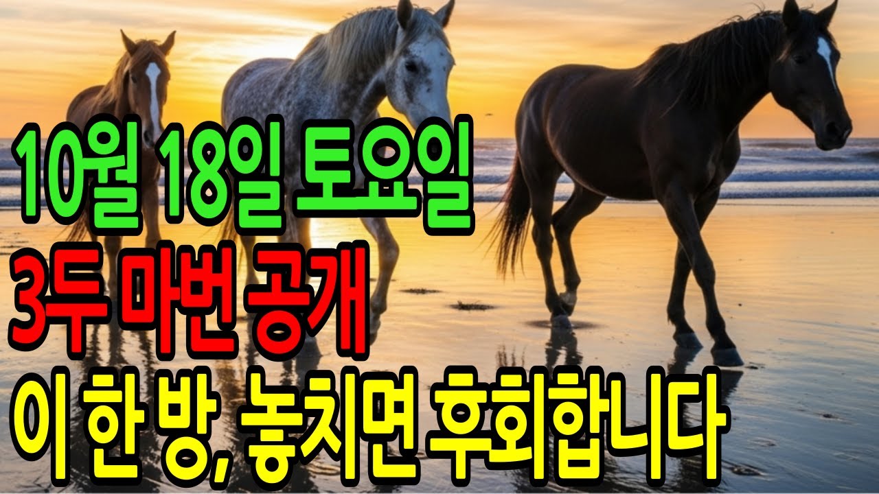 10월 18일 토요일 경마~ “그냥 걸음이 아닙니다. 종반에 미쳐버리는 추진력” ㅣ승전경마 전문가의 이변 포착” l 경마 l  경마예상 l 코리아레이스 l 검빛경마 ㅣ경마정보
