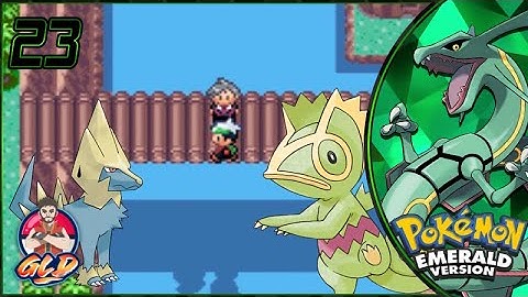 Pokemon Emerald Walkthrough (2023) Part 23: Let the Training Begin!