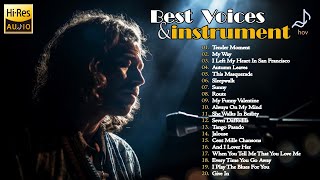 Best Audiophile Voices & Instrument - Hi-Res Music 24 Bit - Audiophile Jazz