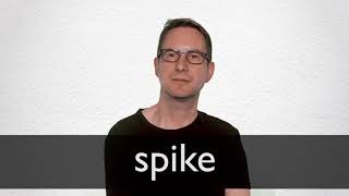 SPIKE definition and meaning