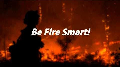 One Less Spark One Less Widlfire