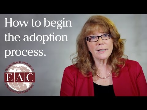 How Do I Begin the Adoption Process?