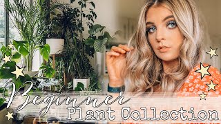 Beginner Plant Collection Lacey Jane