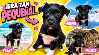 🥹 Las PRIMERAS AVENTURAS de LANA… ¡Era MUY PEQUEÑA! 🐶