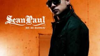 Sean Paul - Temperature (SFaction Edit)( Bloodlywing Remix) 2009