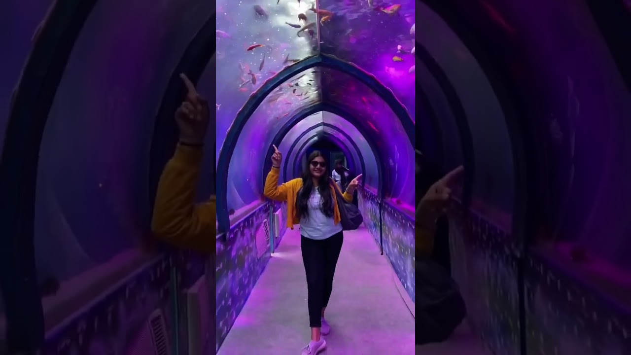 1st underwater tunnel Aquarium exhibition inHyderabad - 2023 