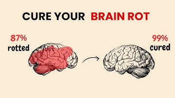 How to Cure Brain Rot (a realistic focus hack for studying)