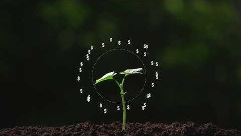 The AI Startup Bubble? $100B Hype Meets Hard Reality