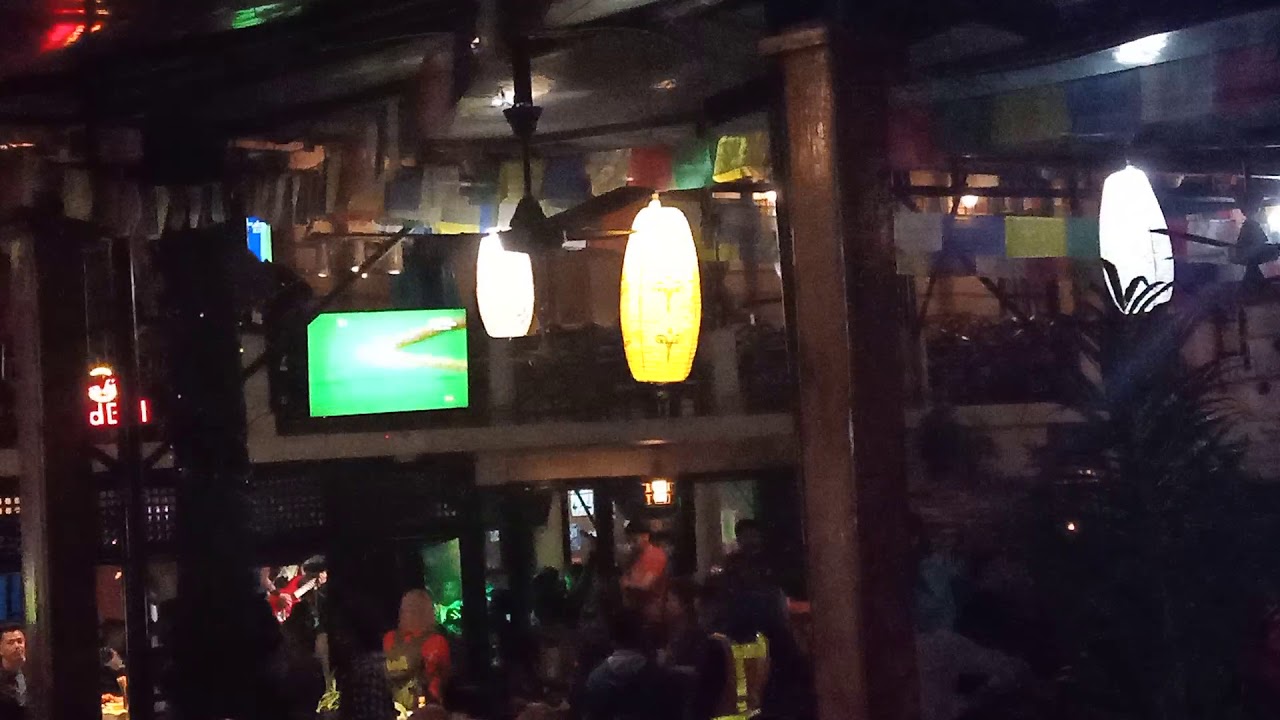 Busy bee pokhara YouTube