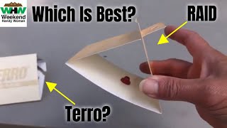Which Pantry Moth Trap Works Best? Terro Vs Raid Traps Overview And Results