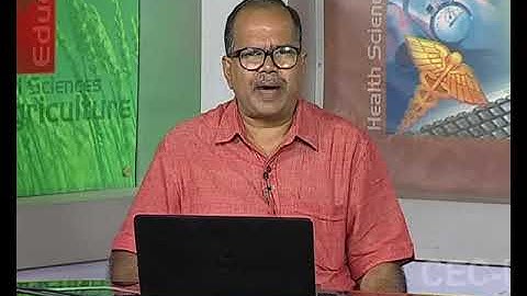 Comparative Politics - I