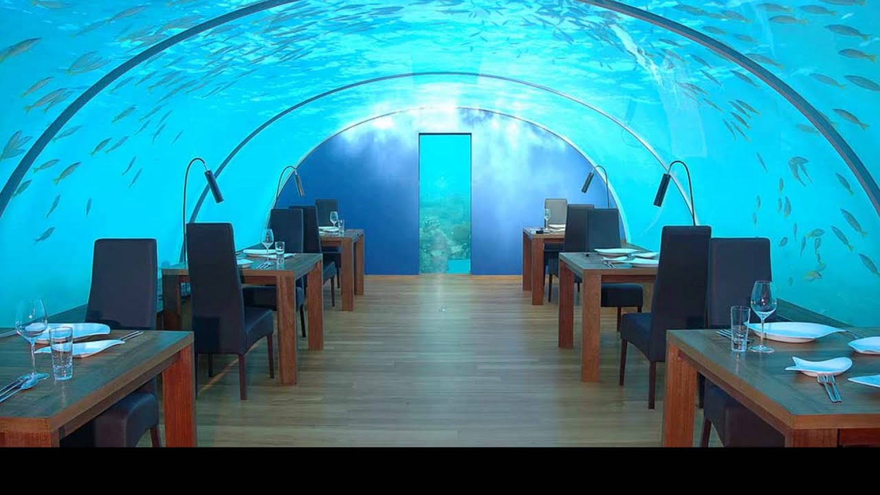 Подводный ресторан it Подводный ресторан it