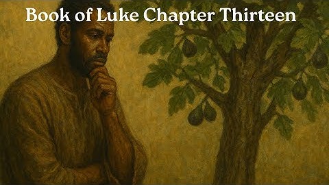 God’s Patience and Our Purpose. December Bible Challenge Luke Chapter 13.