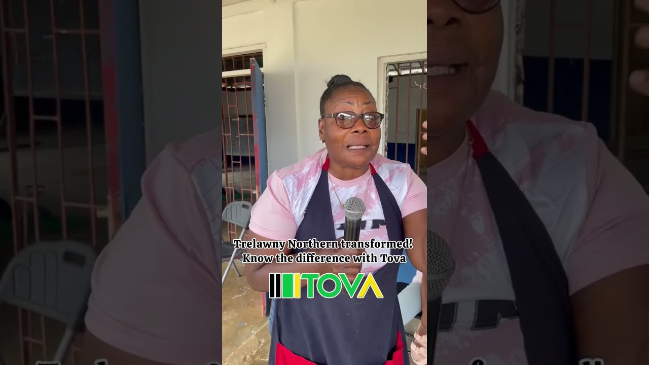  JamaicaGleaner Trelawny Northern Says MP Tova Hamilton Is Simply The Best Jamaicanheritage