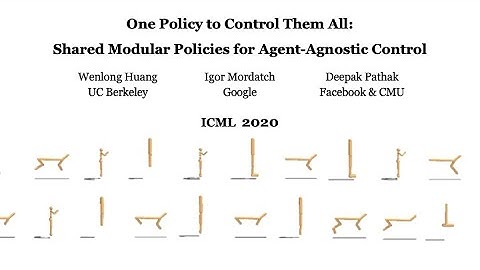 One Policy to Control Them All