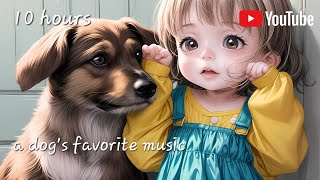 강아지 음악 집중하는 개를 위한 음악❤강아지가 좋아하는 음악강아지힐링음악강아지와 같이들으면 좋은 음악❤분리불안 해소음악 10시간 광고X