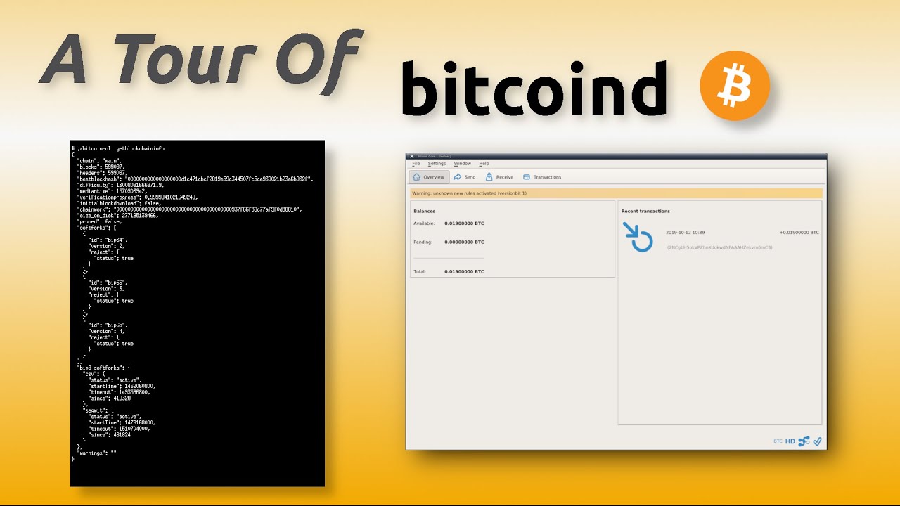 Bitcoind without downloading blockchain how to trasfer crypto currency to paypal