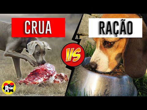 Vídeo: A Escolha Do Criador De Alimentos Para Animais De Estimação Lembra A Fórmula Para Cães Adultos AvoDerm Devido à Possível Contaminação