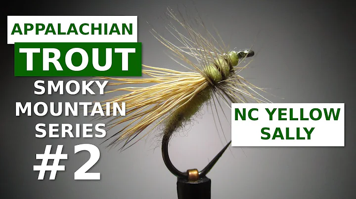 North Carolina Yellow Sally - Great Smoky Mountain...