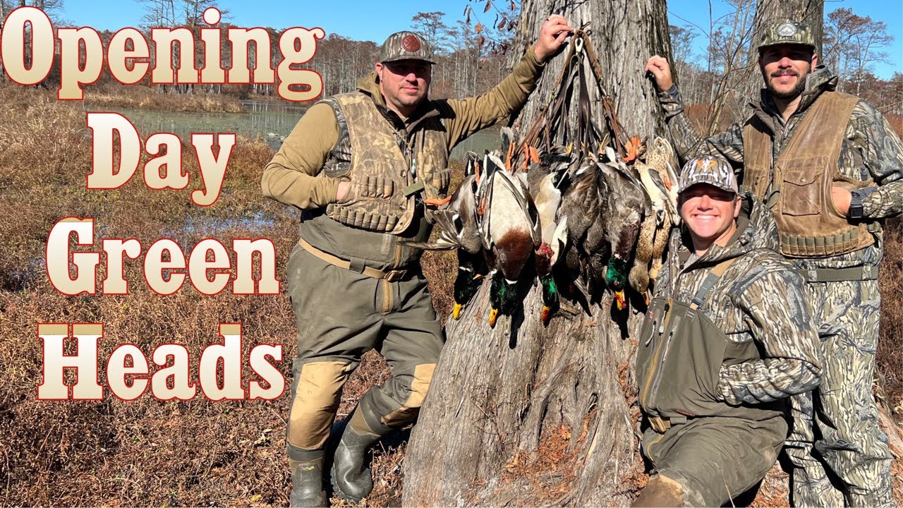 Arkansas Public Land Duck Hunting YouTube